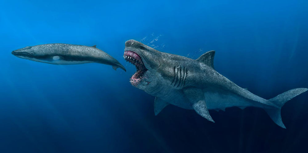 My Trip to Japan, a Tackle Tour - AlanHawk.com