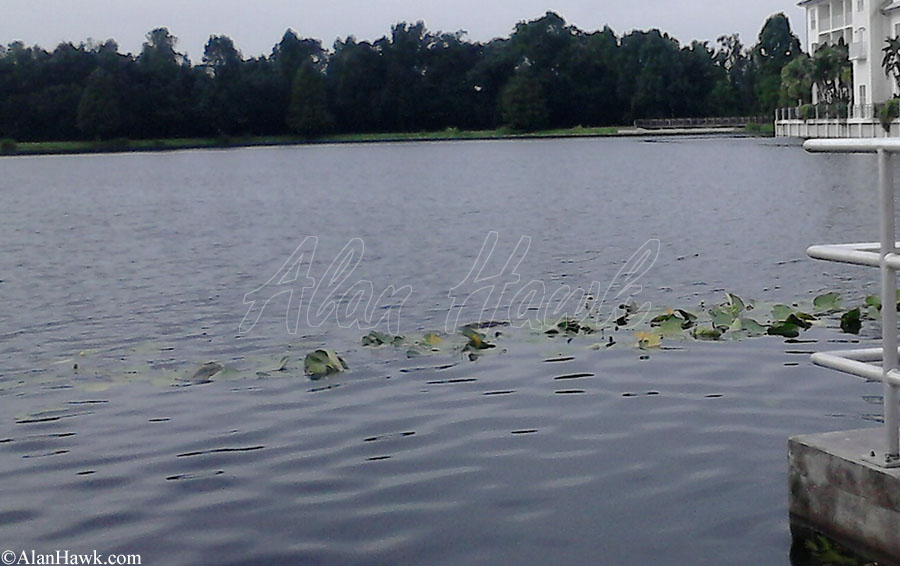 Rods Lines Hooks Leaders and other Tackle - AlanHawk.com