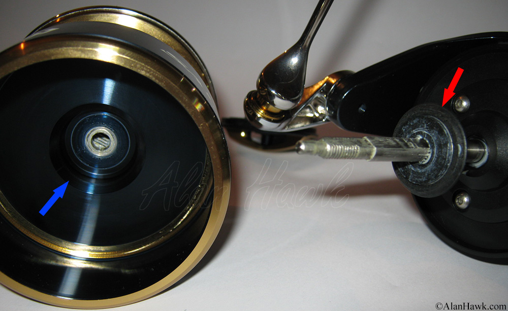 2020 Daiwa Saltiga Review - AlanHawk.com