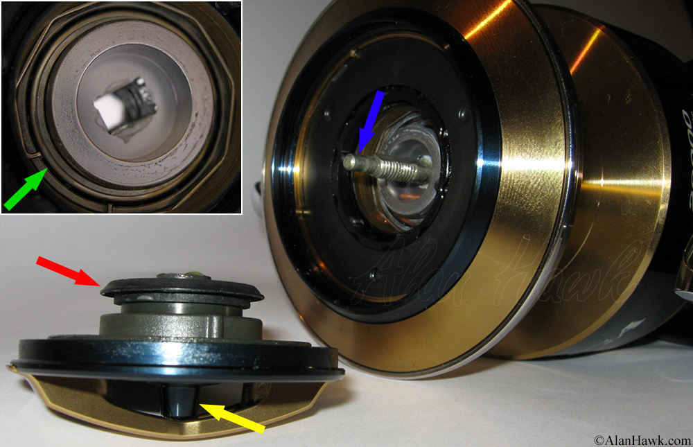 2020 Daiwa Saltiga Review - AlanHawk.com