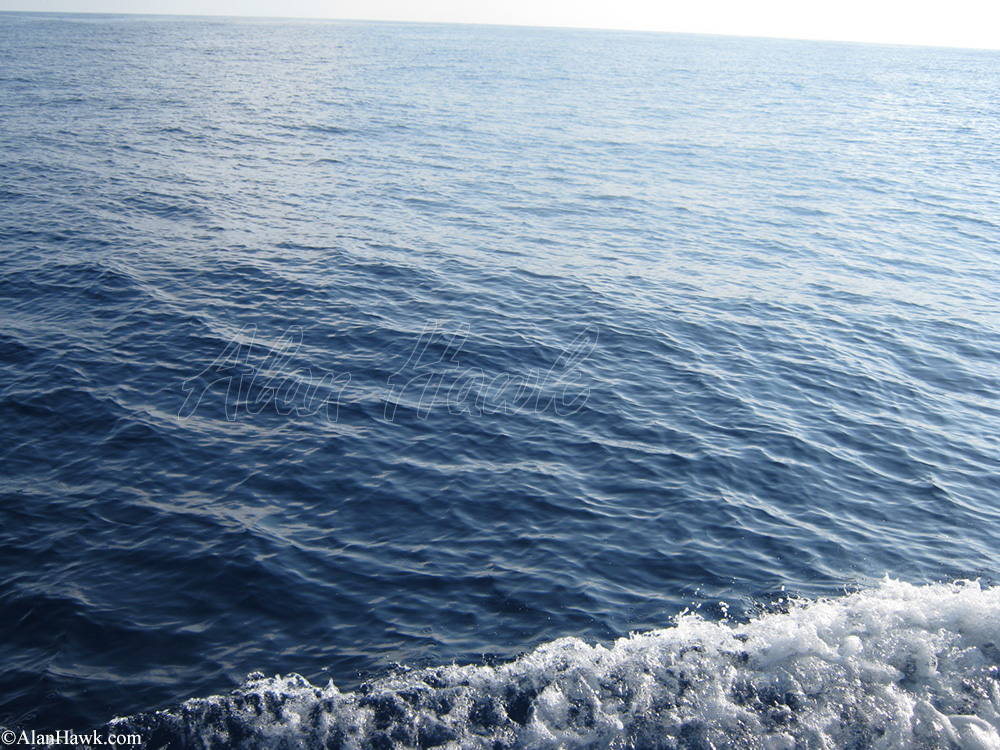 2020 Daiwa Saltiga Review - AlanHawk.com