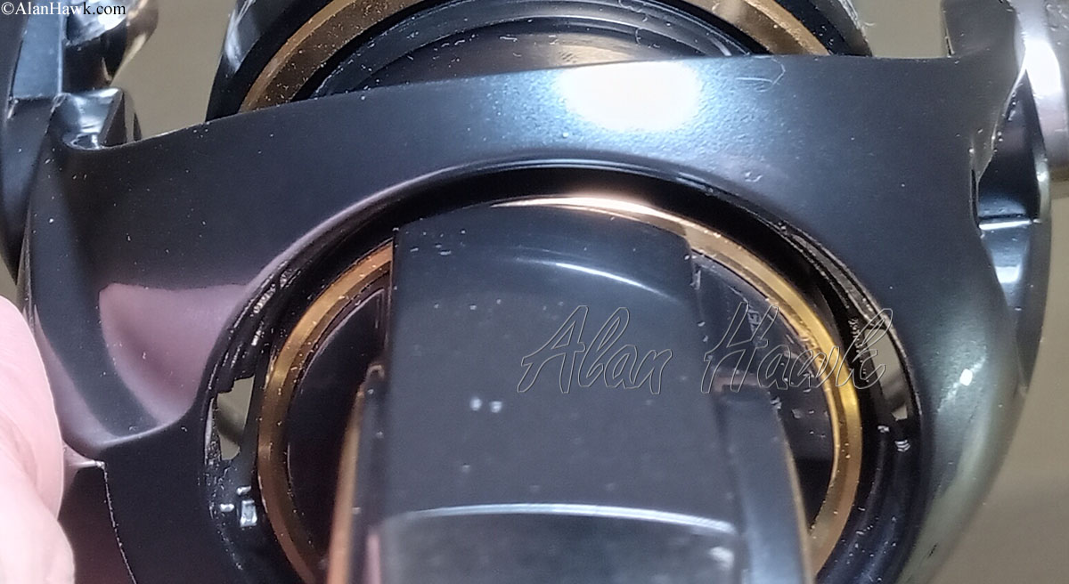 2025 Daiwa Saltiga - AlanHawk.com