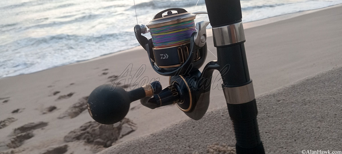 2025 Daiwa Saltiga - AlanHawk.com