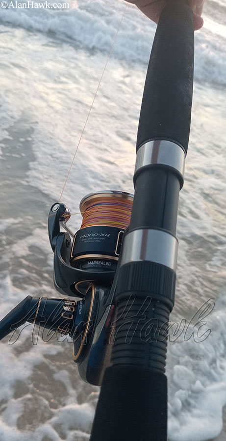 2025 Daiwa Saltiga - AlanHawk.com