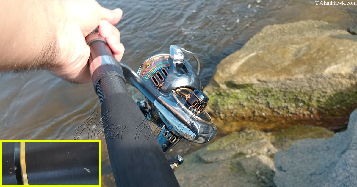 2025 Daiwa Saltiga - AlanHawk.com