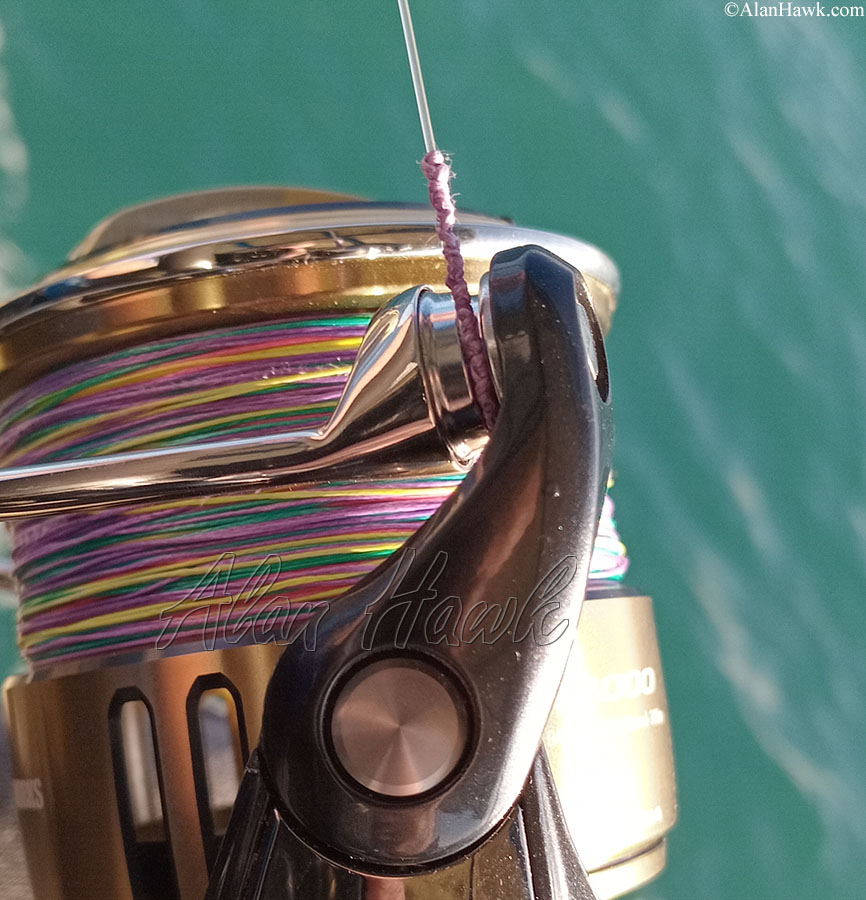 2025 Daiwa Saltiga - AlanHawk.com