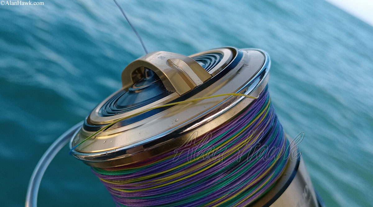 2025 Daiwa Saltiga - AlanHawk.com