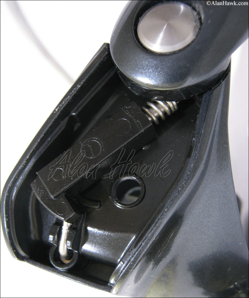 2025 Daiwa Saltiga - AlanHawk.com