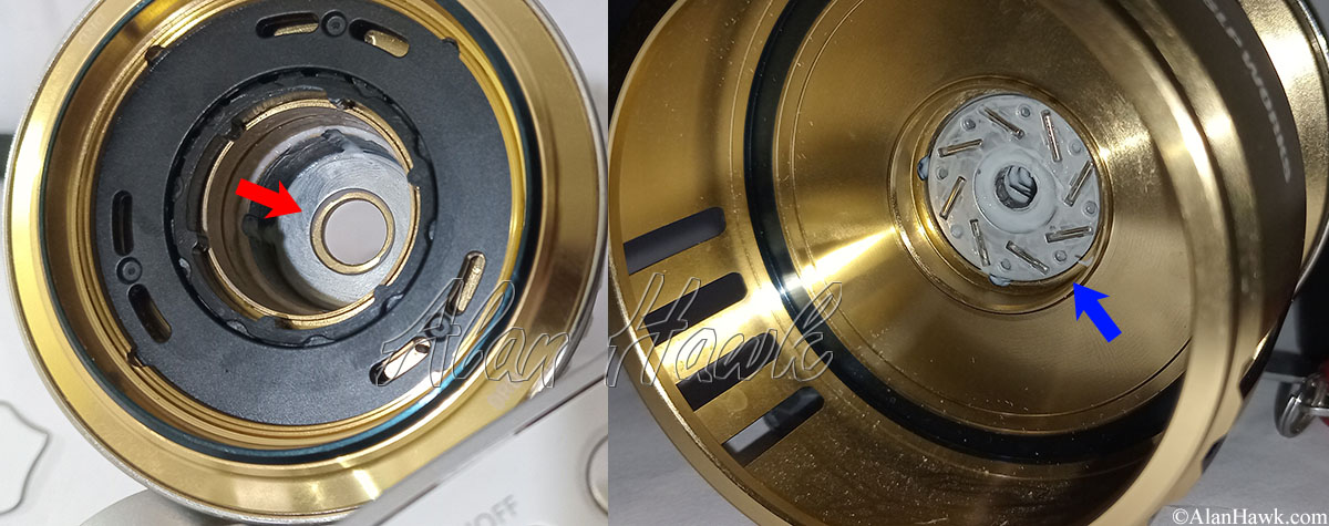 2025 Daiwa Saltiga - AlanHawk.com