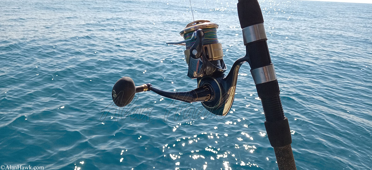 2025 Daiwa Saltiga - AlanHawk.com