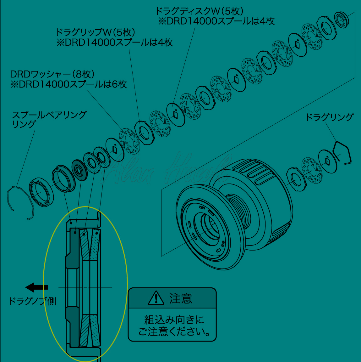2025 Daiwa Saltiga - AlanHawk.com