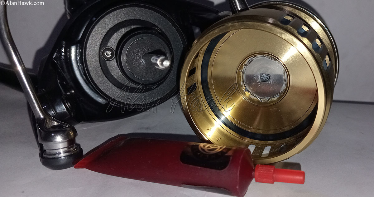 2025 Daiwa Saltiga - AlanHawk.com