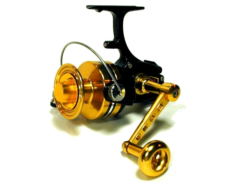 Penn Gold Label Series Torque Spinning Reel (Black, 300-Yard/30-Pound) :  : Sports, Fitness & Outdoors